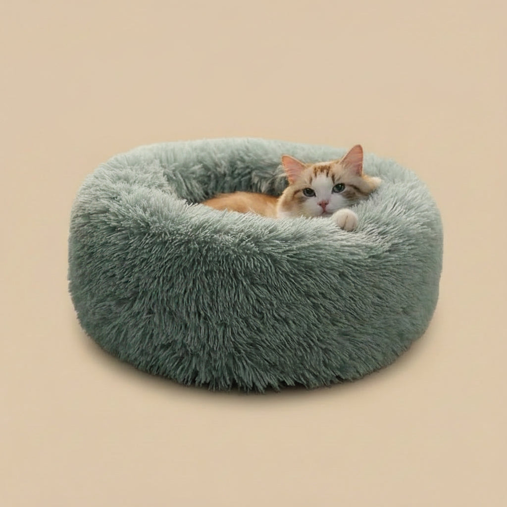 Cat Bed